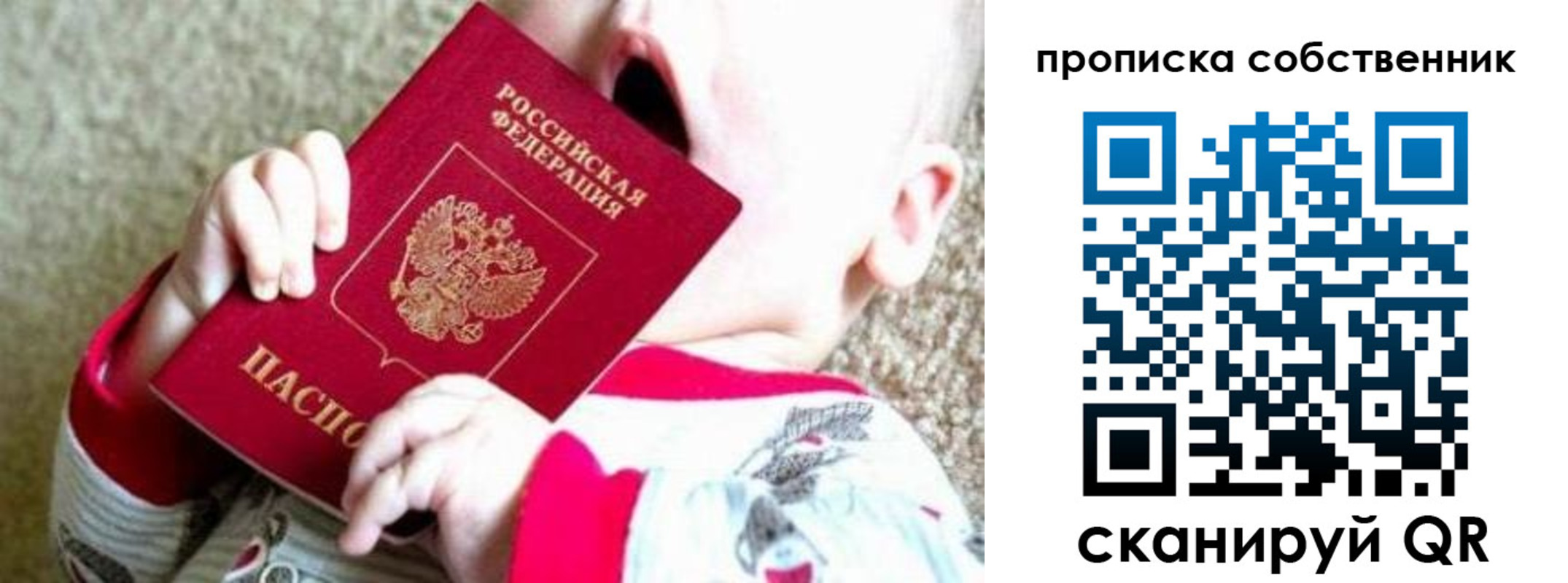 прописка для школы в Всеволожске
